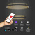 Подвесной светодиодный светильник с управлением по Wi-Fi 90241/2 черный/ золото Smart