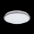 Настенно-потолочный светильник Луна CL702301W