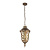 Уличный подвесной светильник Luxus 1495-1P