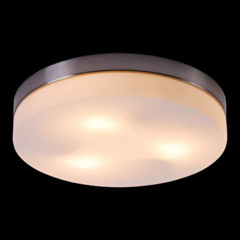Потолочный светильник OPAL 48403
