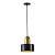 Подвесной светильник Lussole Loft LSP-8698