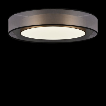 Потолочный светильник Freya LED Zoticus FR6005CL-L48G