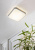 Настенно-потолочный светильник MANILVA 1 96229