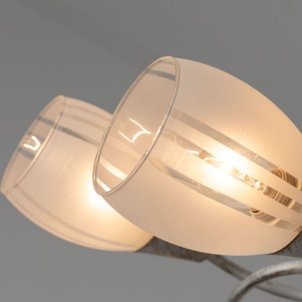 Светильник потолочный Arte Lamp PENNY A2701PL-6WG
