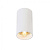 Точечный светильник Zumaline TUBA SL 1 WHITE 92679