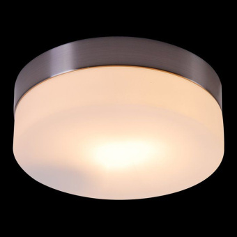 Потолочный светильник OPAL 48401