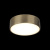 Светильник настенно-потолочный Aployt Evon APL.0113.29.12