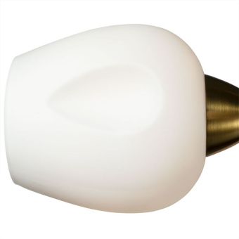Светильник потолочный Arte Lamp BRIGHTON A2706PL-5CK
