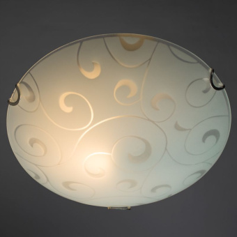 Светильник настенно-потолочный Arte Lamp ornament A3320PL-1CC