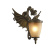 Уличный настенный светильник Dragon 1717-1W