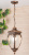 Светильник садово-парковый Elektrostandard черное золото GLYF-8024H